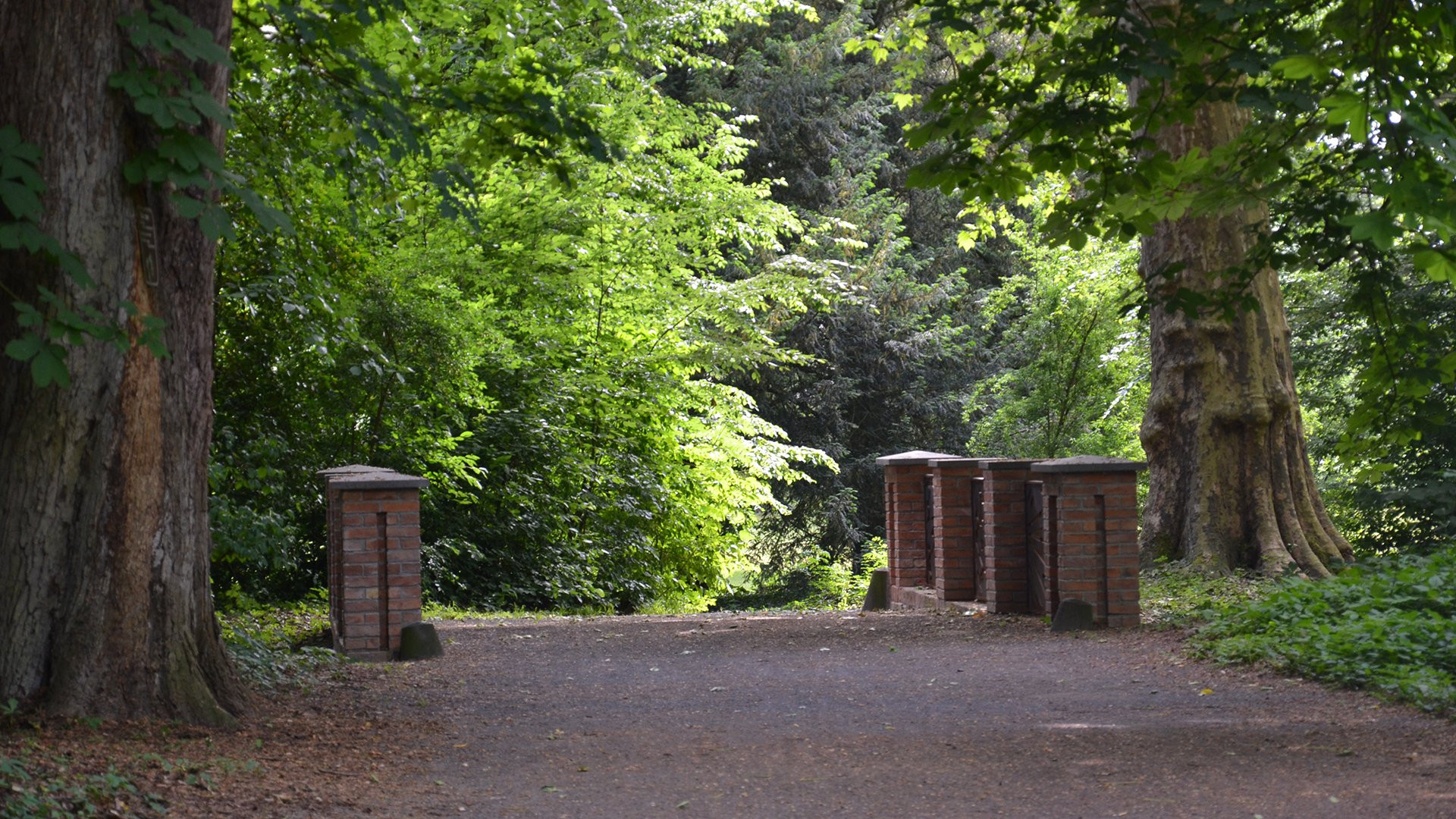 Rote Brücke - Perspektive 1